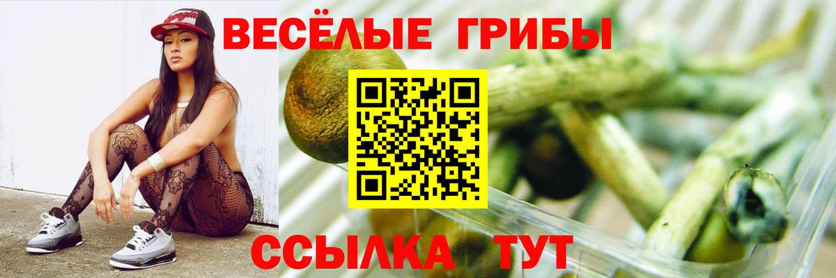 Псилоцибиновые грибы ЛСД  Вход с VPN  Псилоцибиновые грибы Cubensis  Гусев 