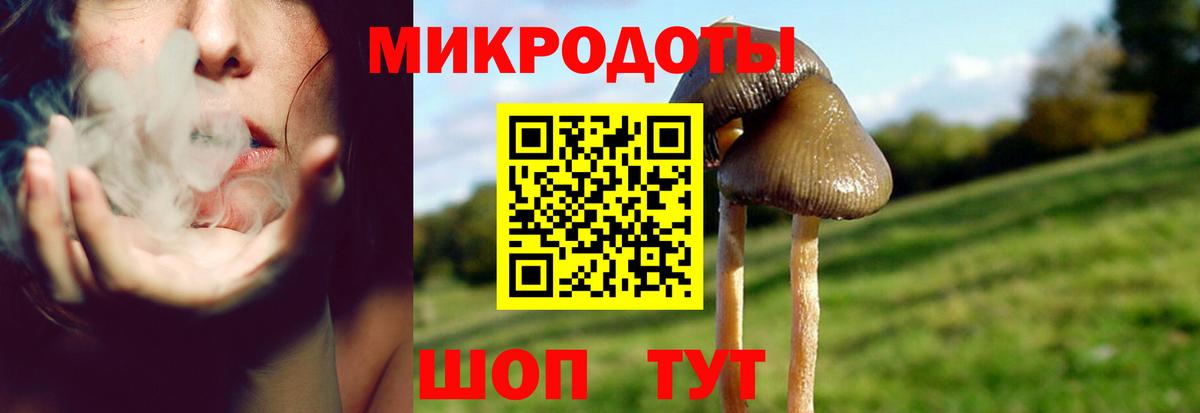 Псилоцибиновые грибы MAGIC MUSHROOMS Гусев